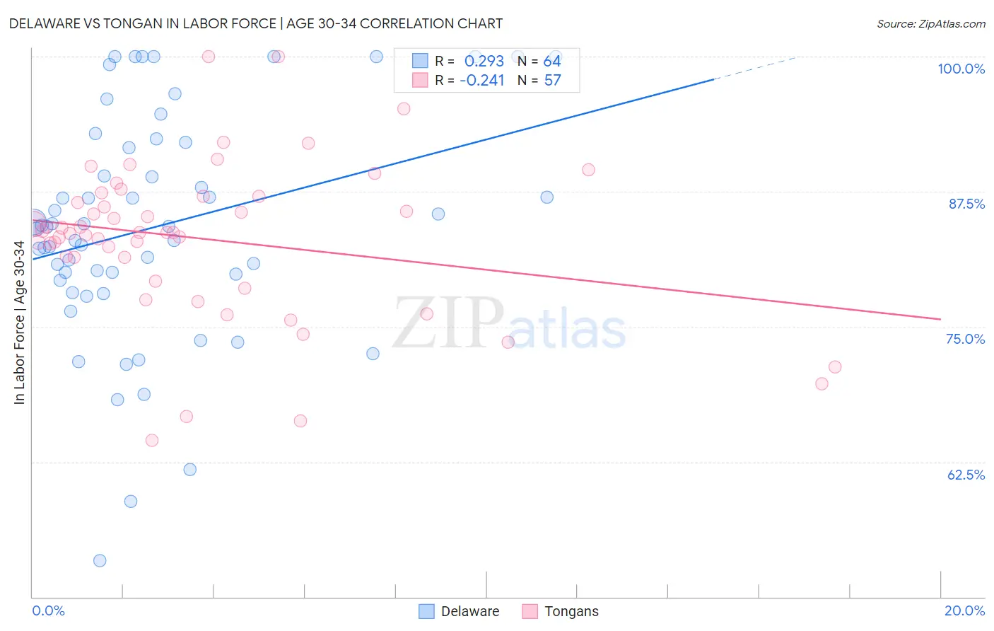 Delaware vs Tongan In Labor Force | Age 30-34