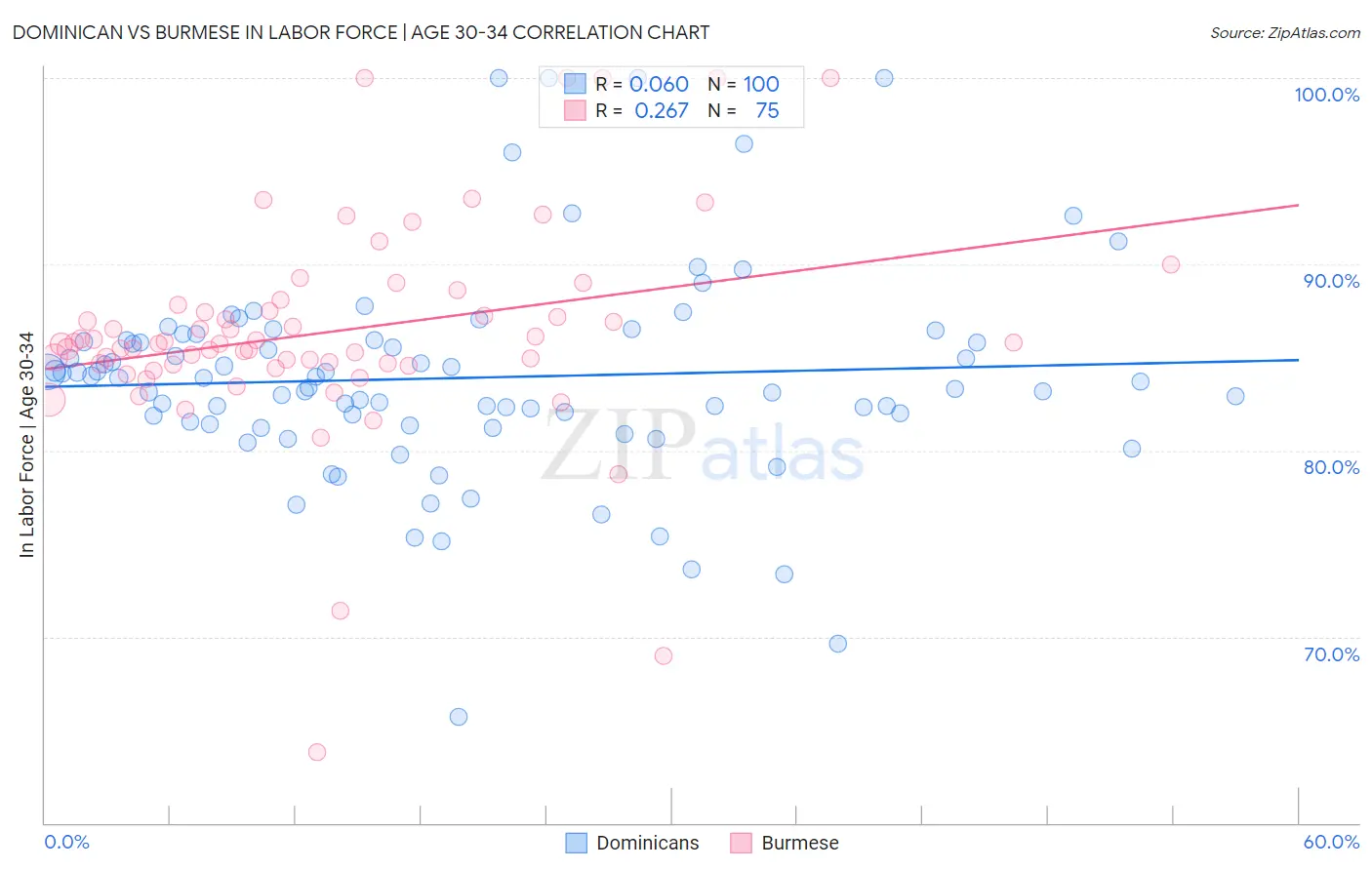 Dominican vs Burmese In Labor Force | Age 30-34