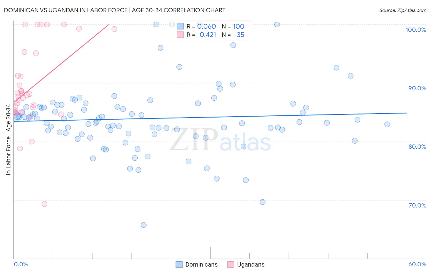 Dominican vs Ugandan In Labor Force | Age 30-34