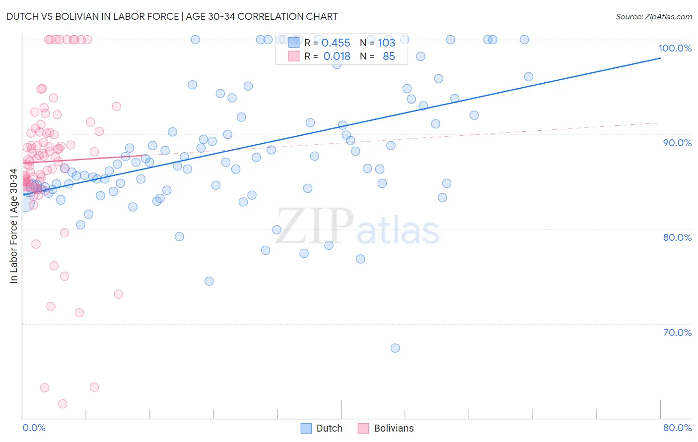 Dutch vs Bolivian In Labor Force | Age 30-34