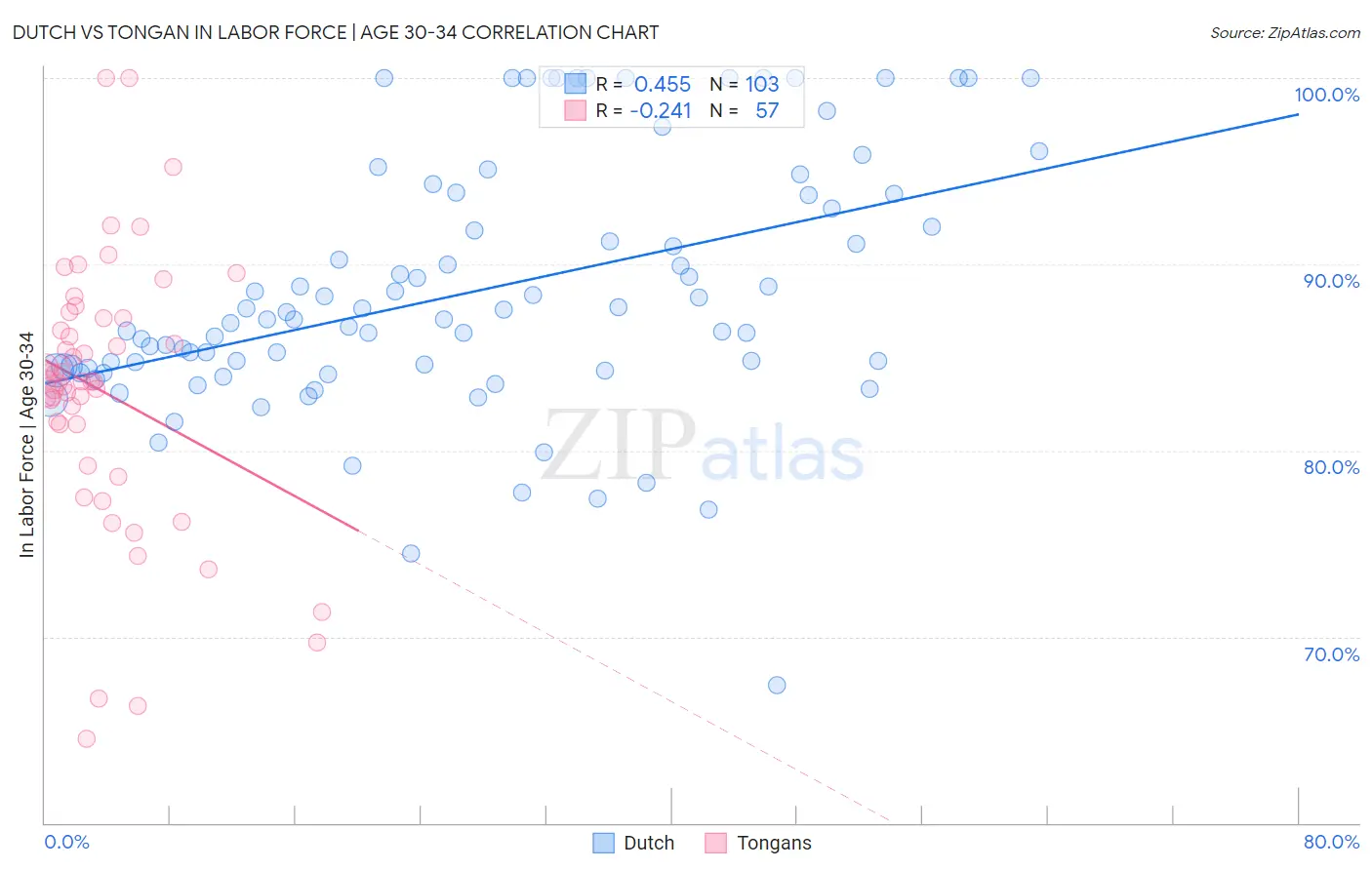 Dutch vs Tongan In Labor Force | Age 30-34