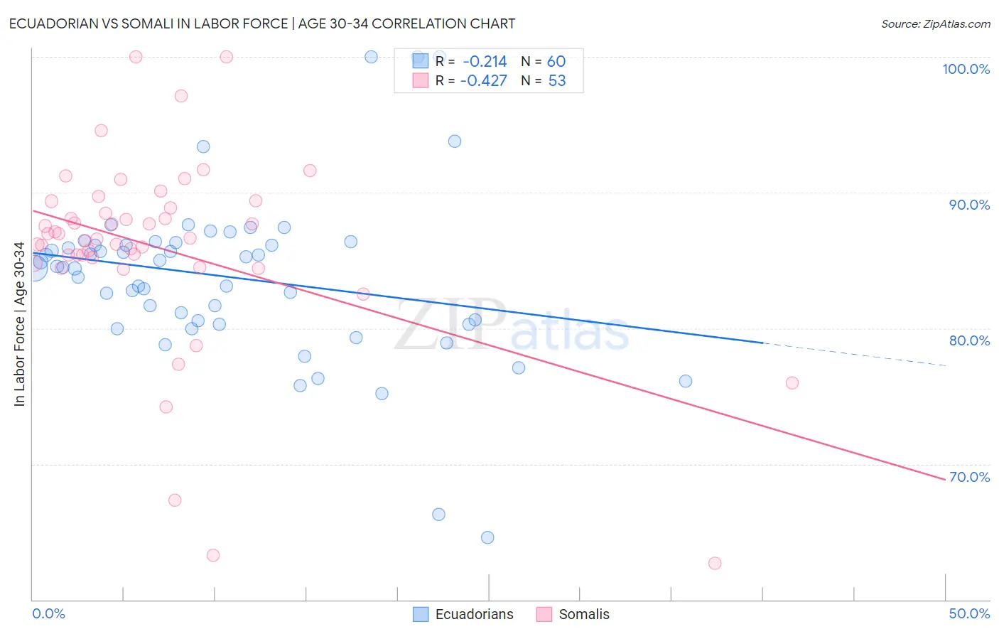 Ecuadorian vs Somali In Labor Force | Age 30-34