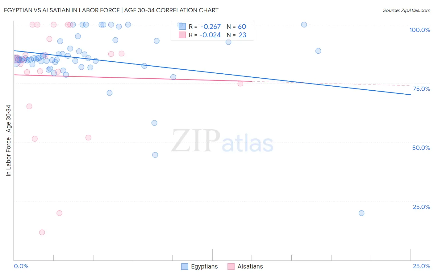 Egyptian vs Alsatian In Labor Force | Age 30-34