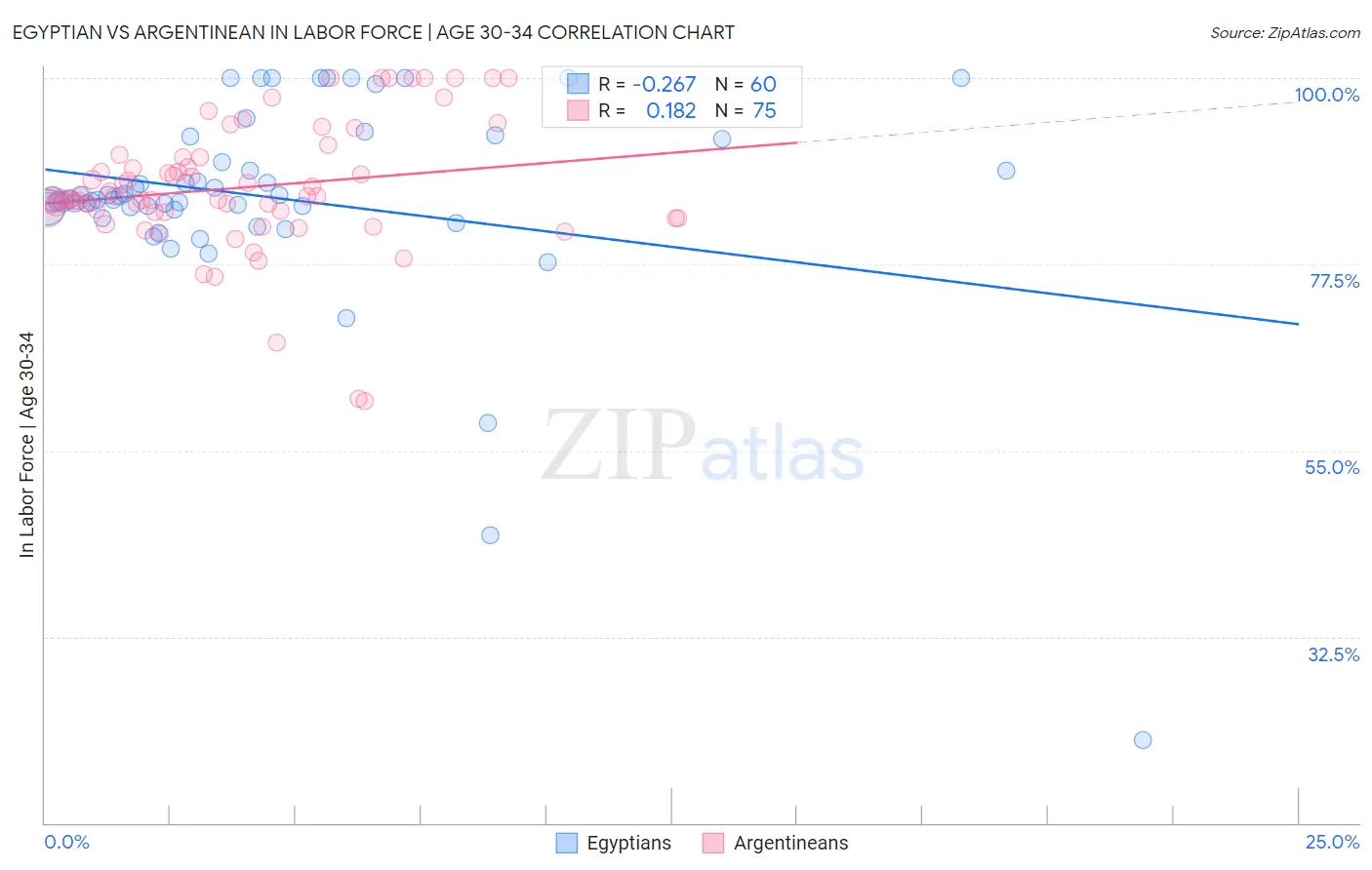 Egyptian vs Argentinean In Labor Force | Age 30-34
