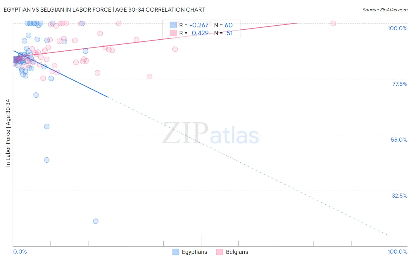 Egyptian vs Belgian In Labor Force | Age 30-34