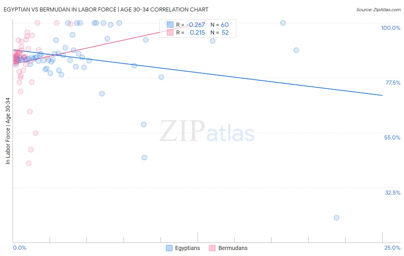 Egyptian vs Bermudan In Labor Force | Age 30-34