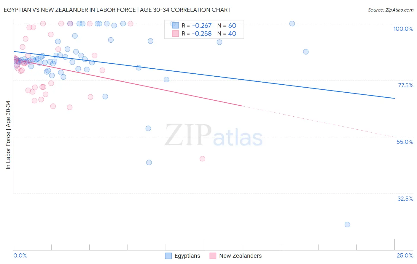 Egyptian vs New Zealander In Labor Force | Age 30-34