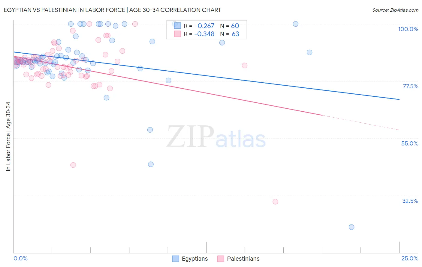 Egyptian vs Palestinian In Labor Force | Age 30-34