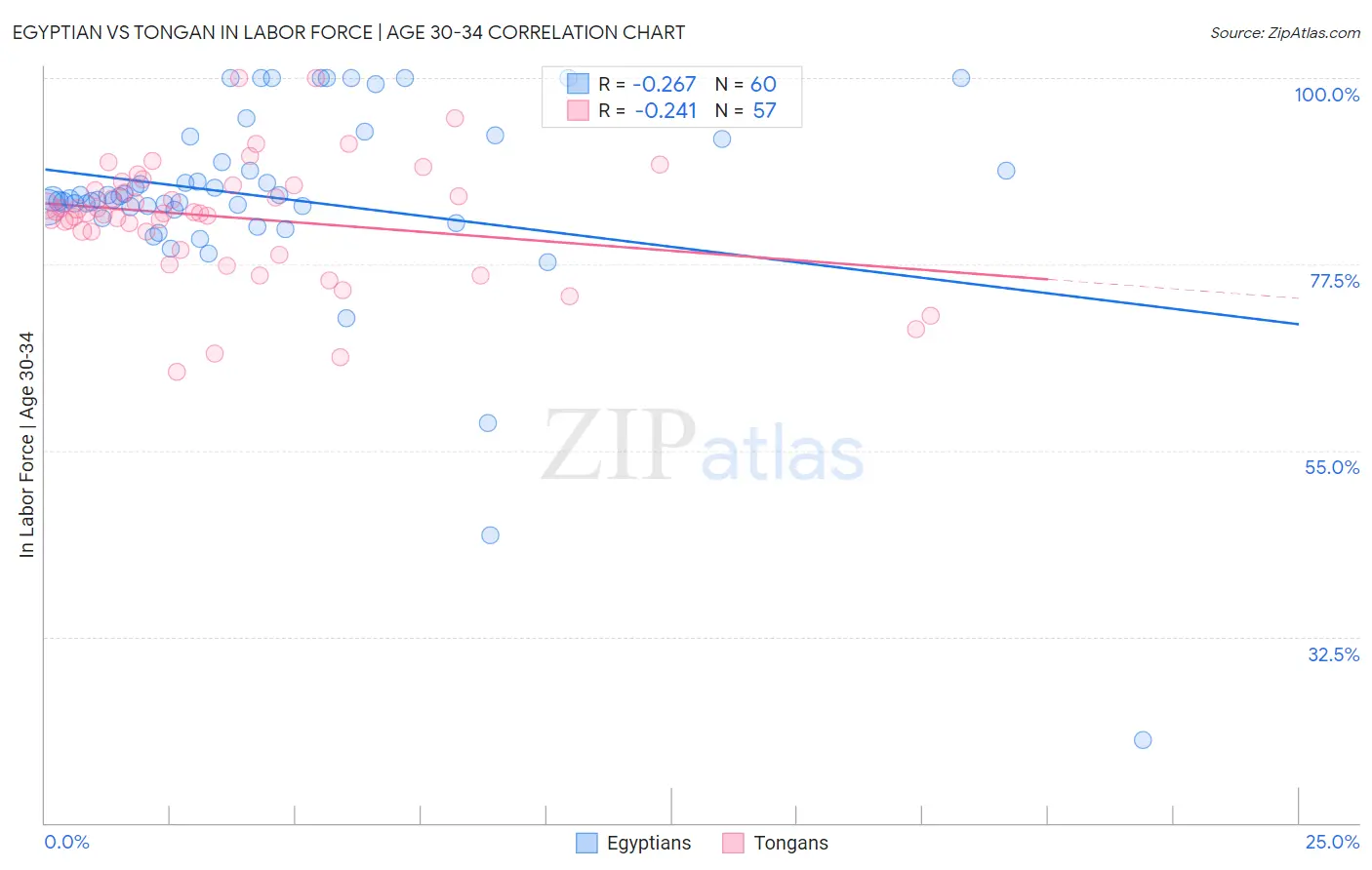 Egyptian vs Tongan In Labor Force | Age 30-34