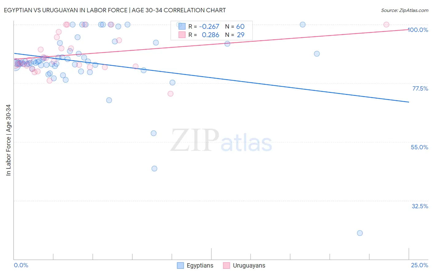 Egyptian vs Uruguayan In Labor Force | Age 30-34