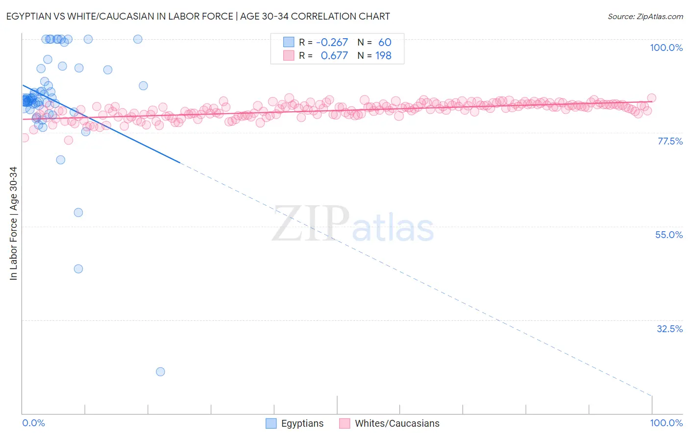 Egyptian vs White/Caucasian In Labor Force | Age 30-34