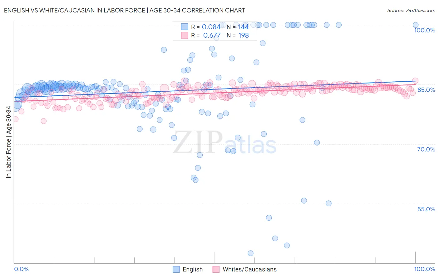 English vs White/Caucasian In Labor Force | Age 30-34