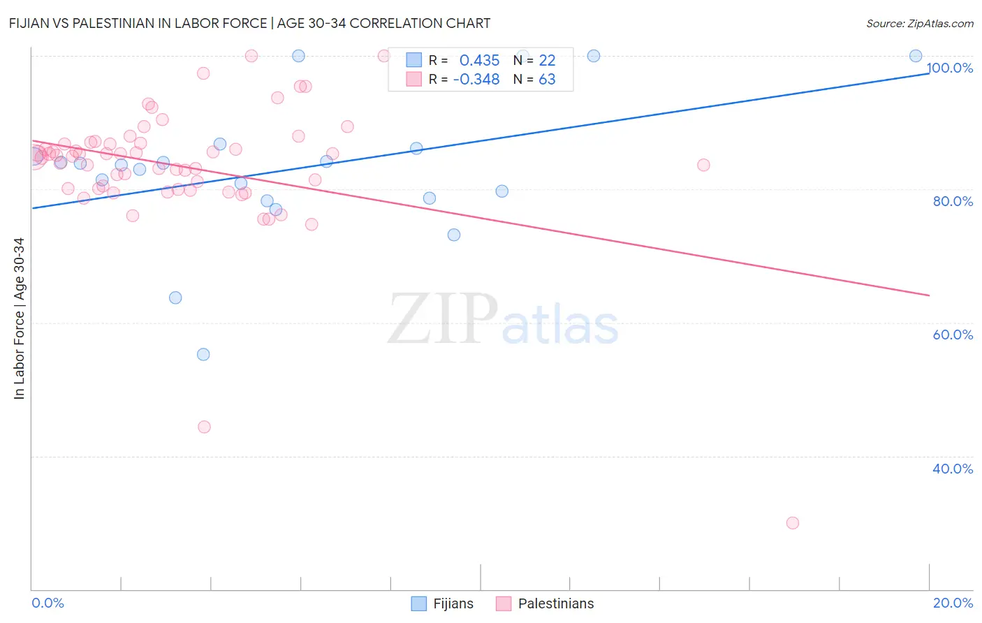 Fijian vs Palestinian In Labor Force | Age 30-34