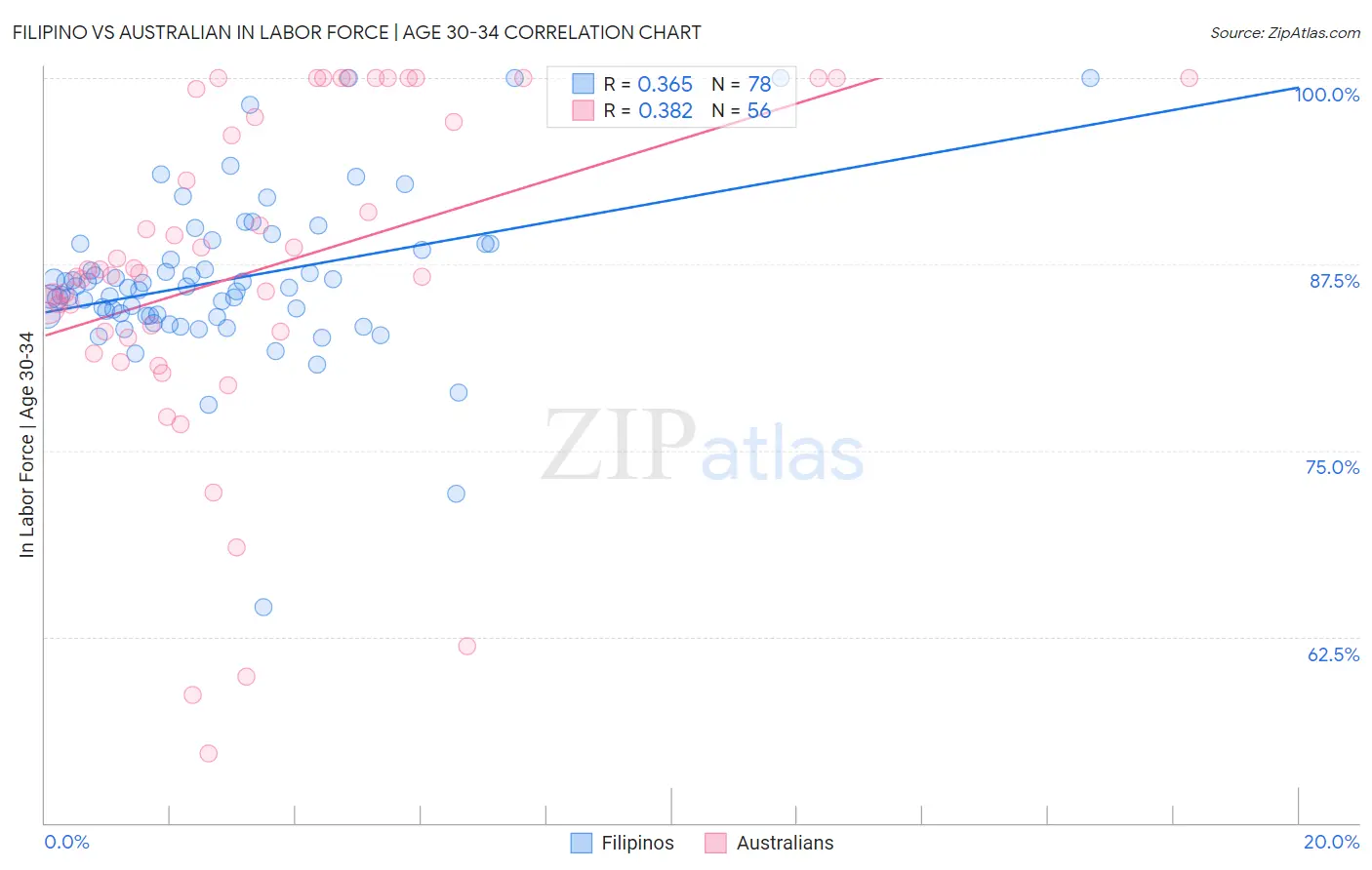 Filipino vs Australian In Labor Force | Age 30-34