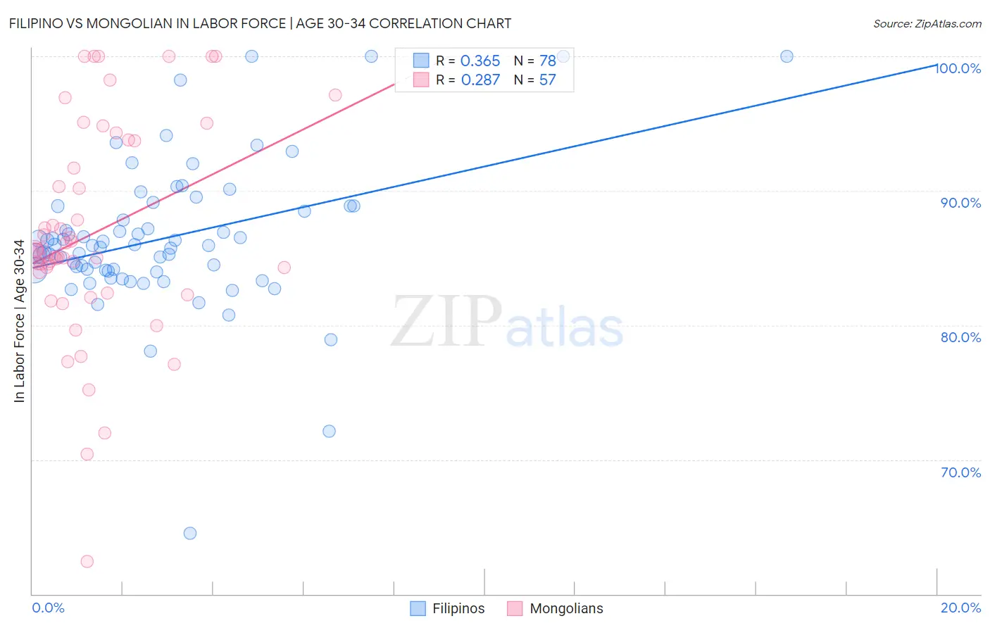 Filipino vs Mongolian In Labor Force | Age 30-34