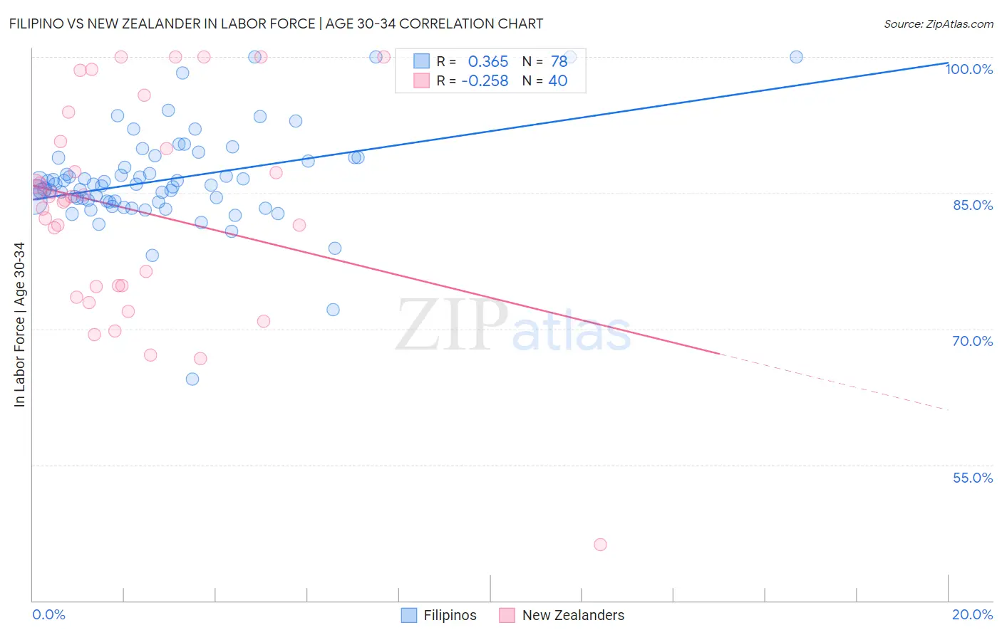 Filipino vs New Zealander In Labor Force | Age 30-34