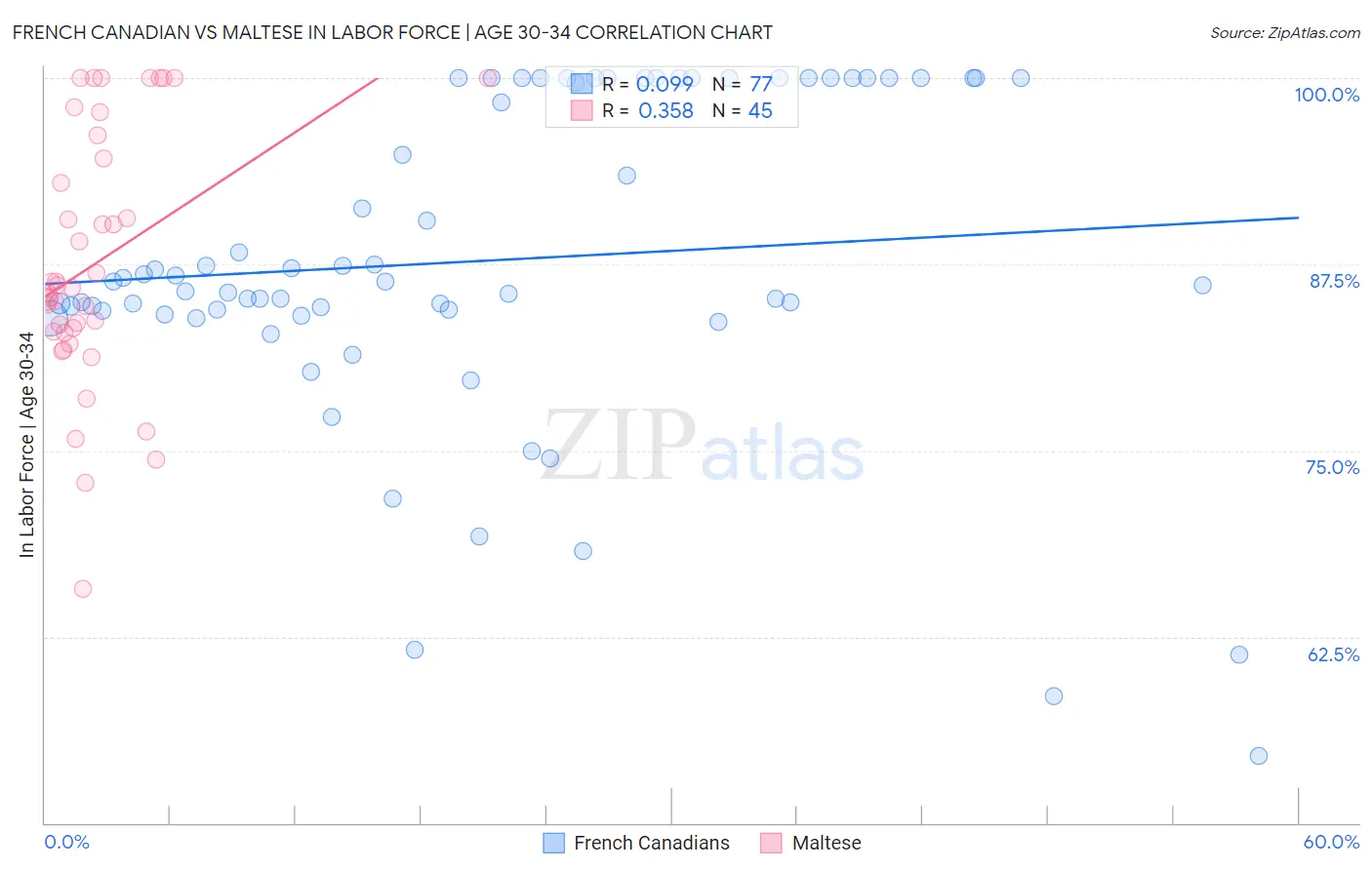 French Canadian vs Maltese In Labor Force | Age 30-34
