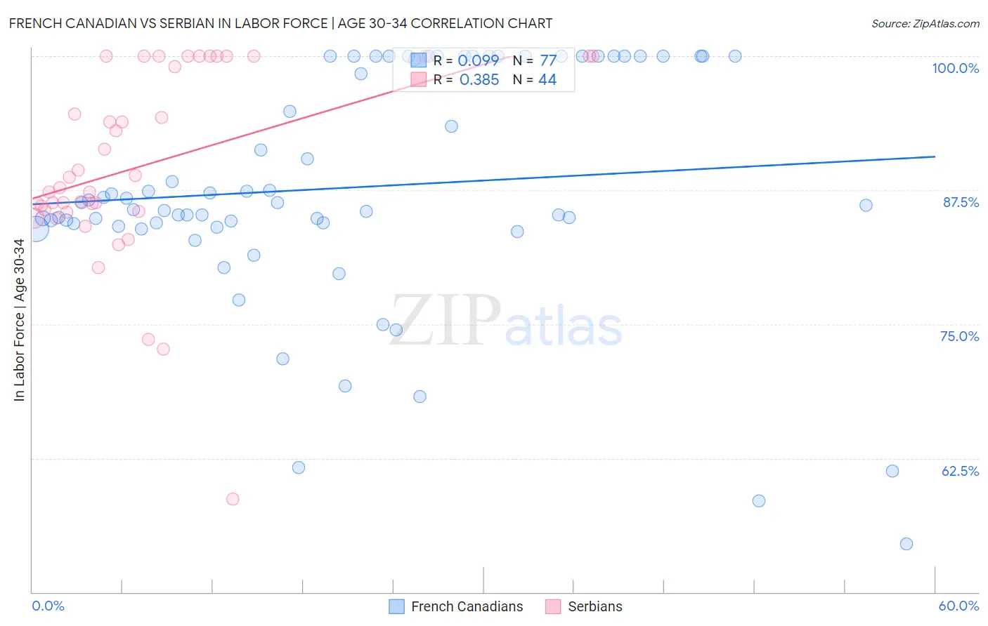 French Canadian vs Serbian In Labor Force | Age 30-34