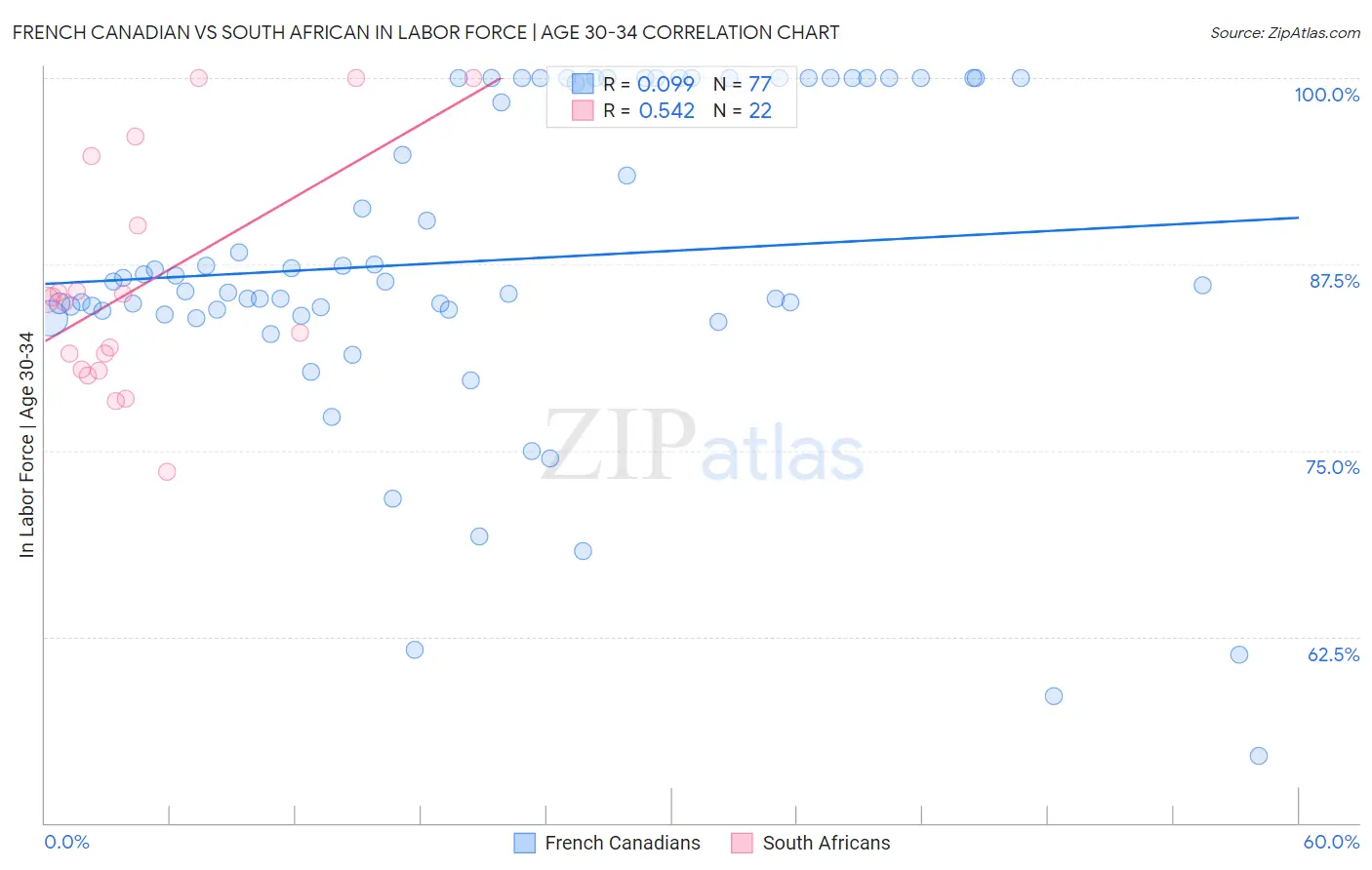 French Canadian vs South African In Labor Force | Age 30-34