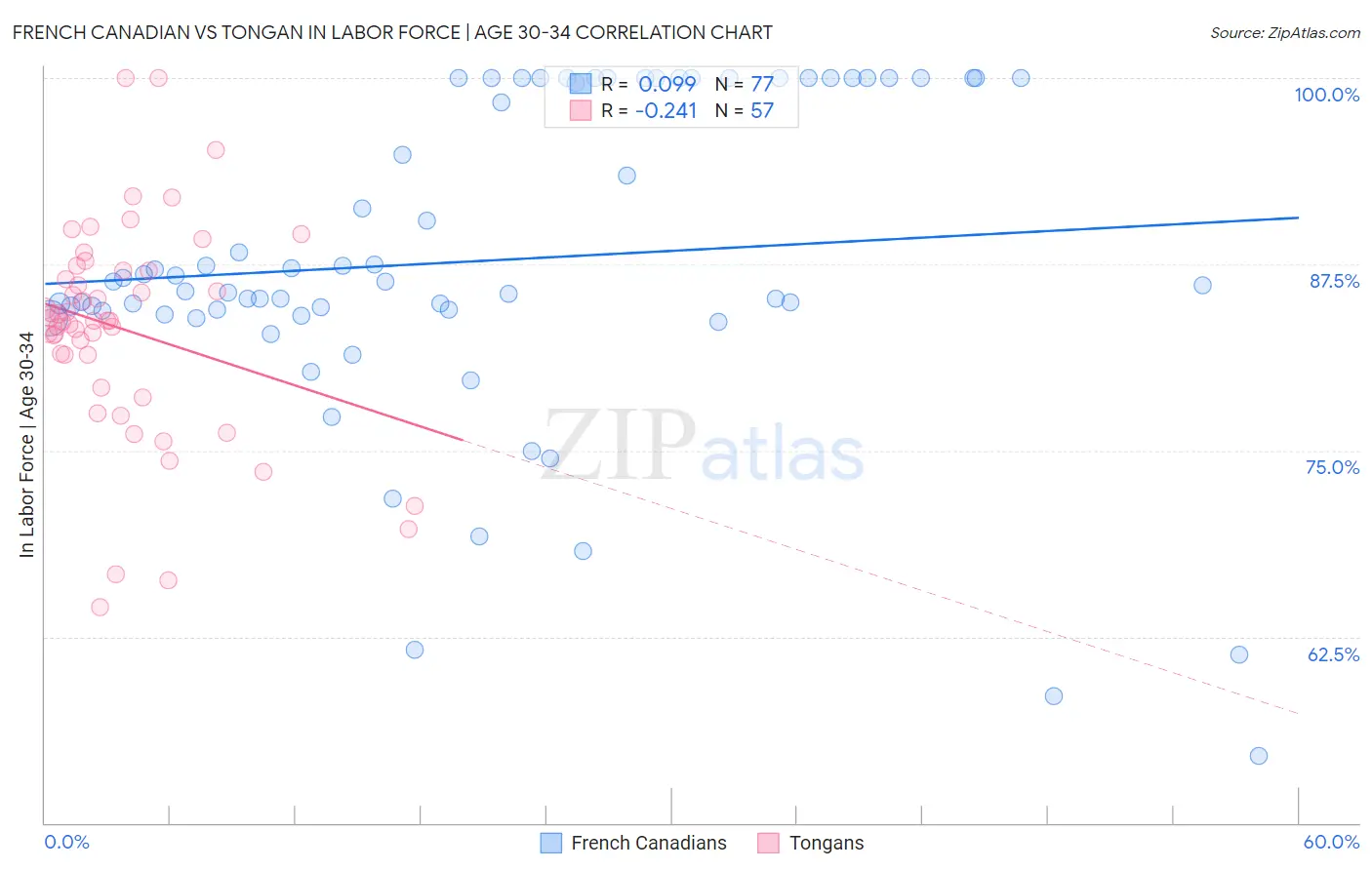 French Canadian vs Tongan In Labor Force | Age 30-34