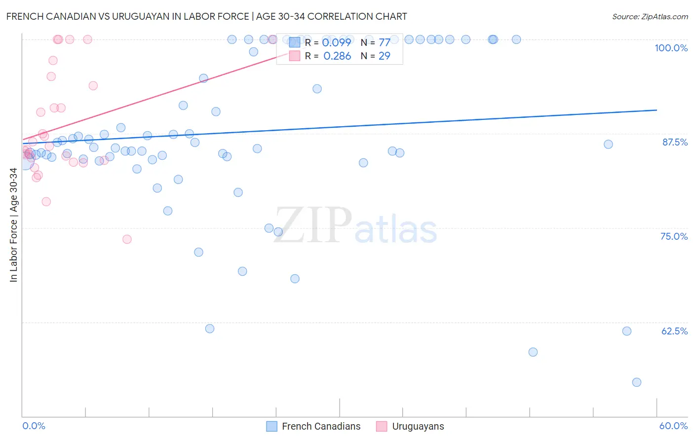 French Canadian vs Uruguayan In Labor Force | Age 30-34