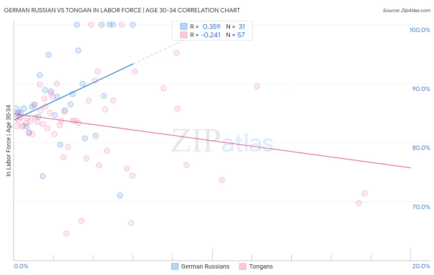 German Russian vs Tongan In Labor Force | Age 30-34