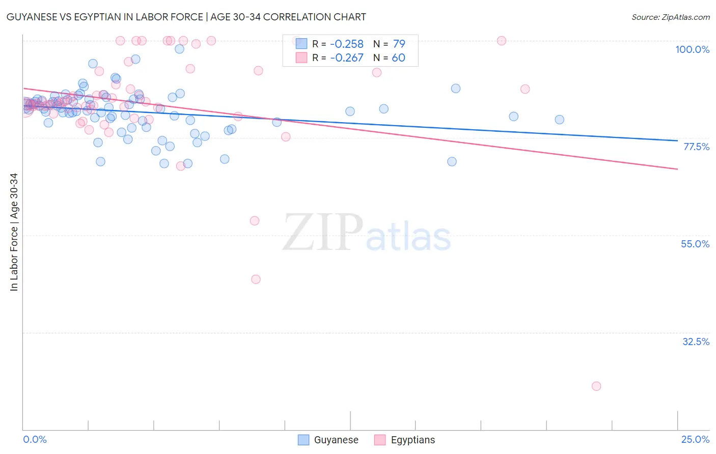 Guyanese vs Egyptian In Labor Force | Age 30-34