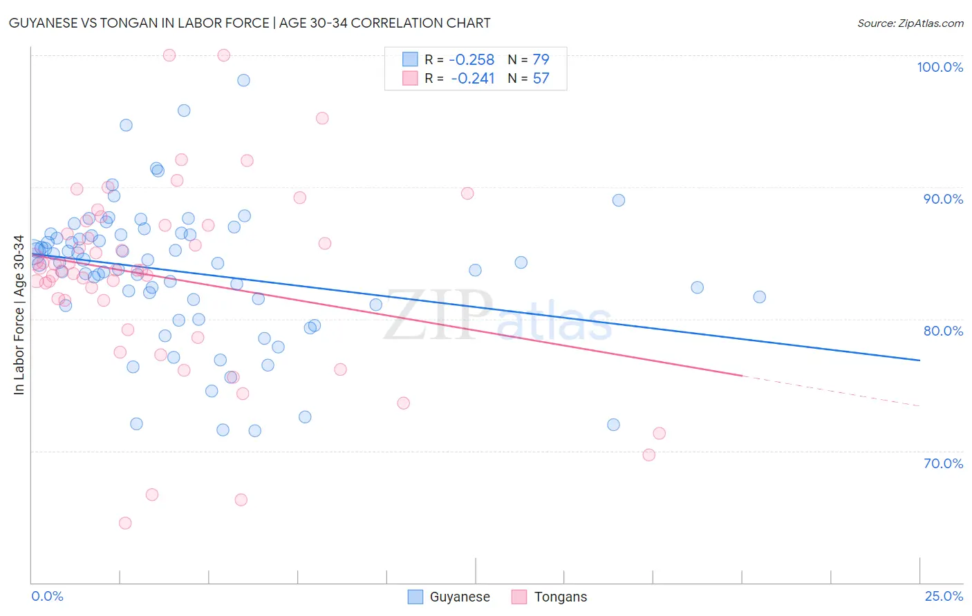Guyanese vs Tongan In Labor Force | Age 30-34