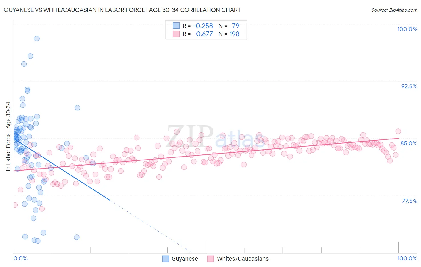 Guyanese vs White/Caucasian In Labor Force | Age 30-34
