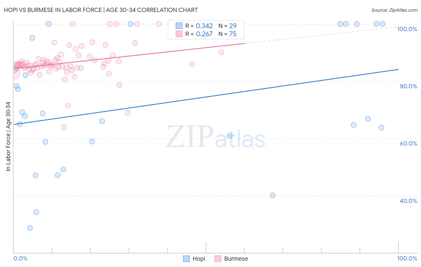 Hopi vs Burmese In Labor Force | Age 30-34