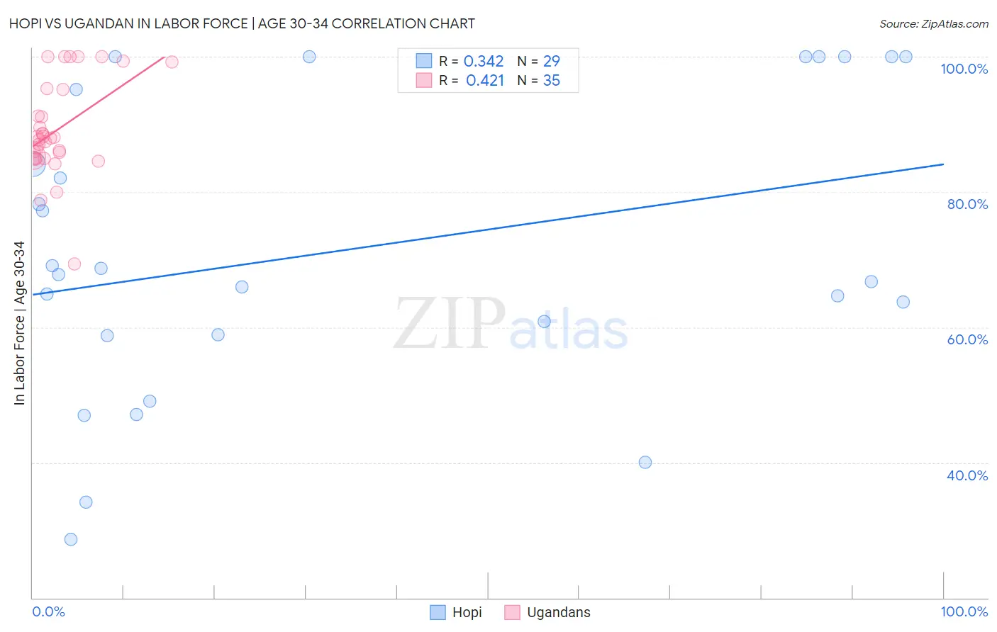 Hopi vs Ugandan In Labor Force | Age 30-34