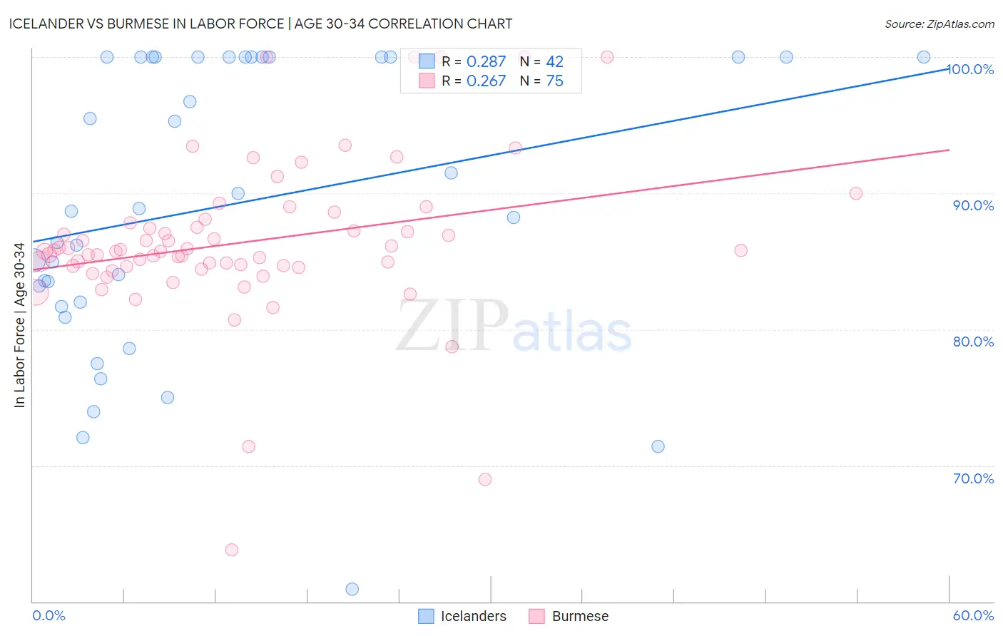 Icelander vs Burmese In Labor Force | Age 30-34