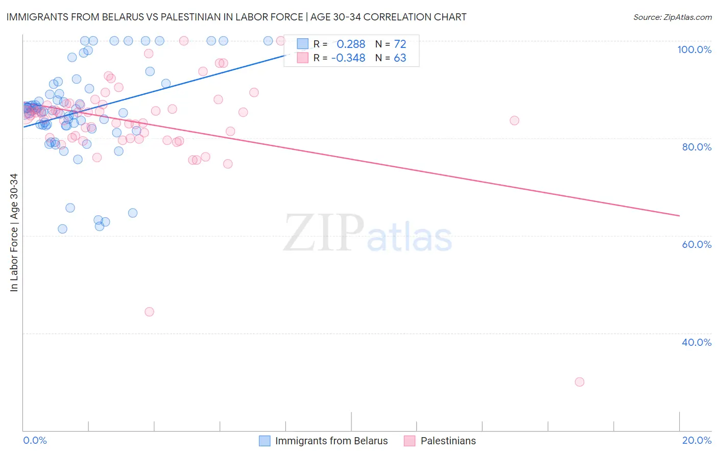 Immigrants from Belarus vs Palestinian In Labor Force | Age 30-34