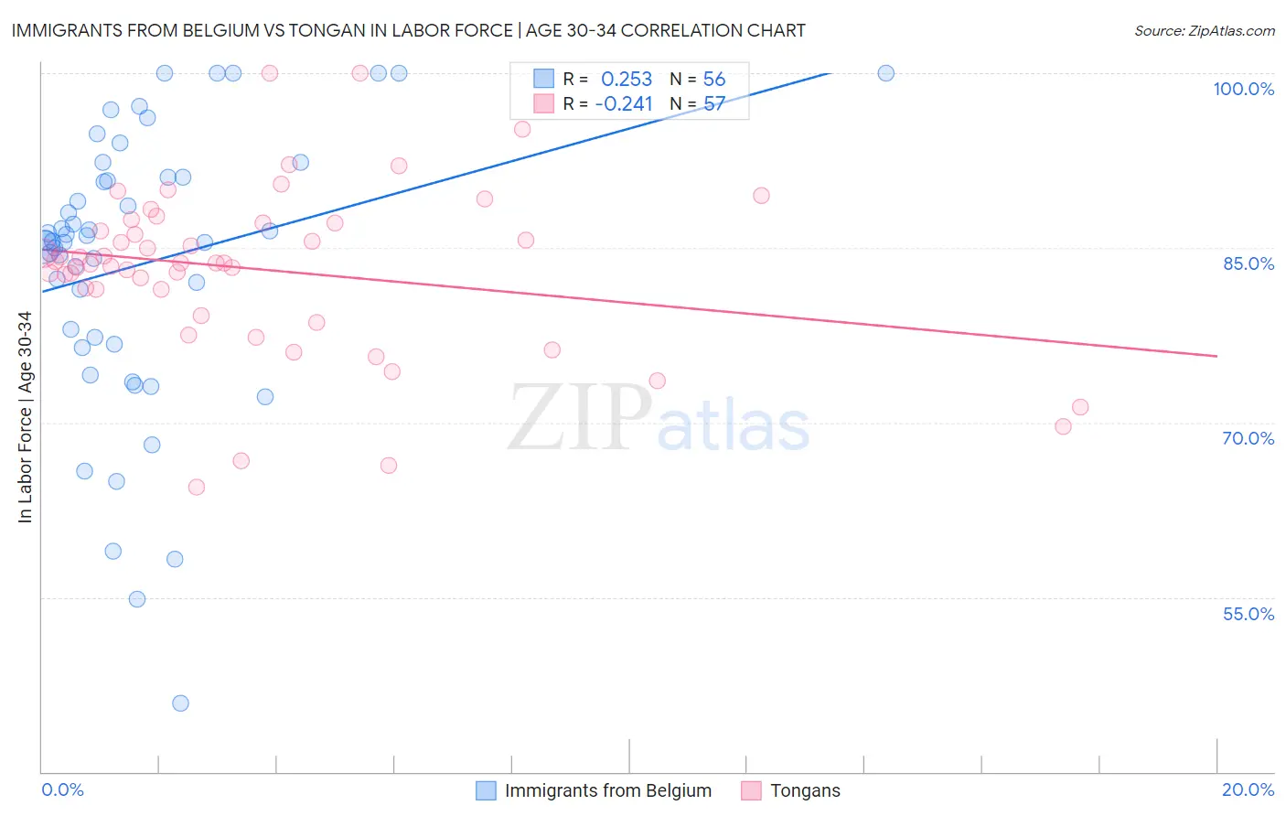 Immigrants from Belgium vs Tongan In Labor Force | Age 30-34