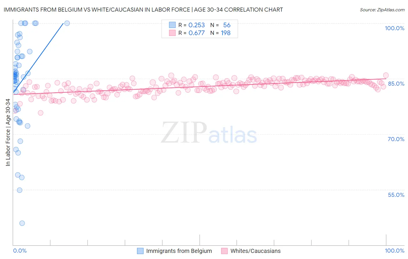 Immigrants from Belgium vs White/Caucasian In Labor Force | Age 30-34