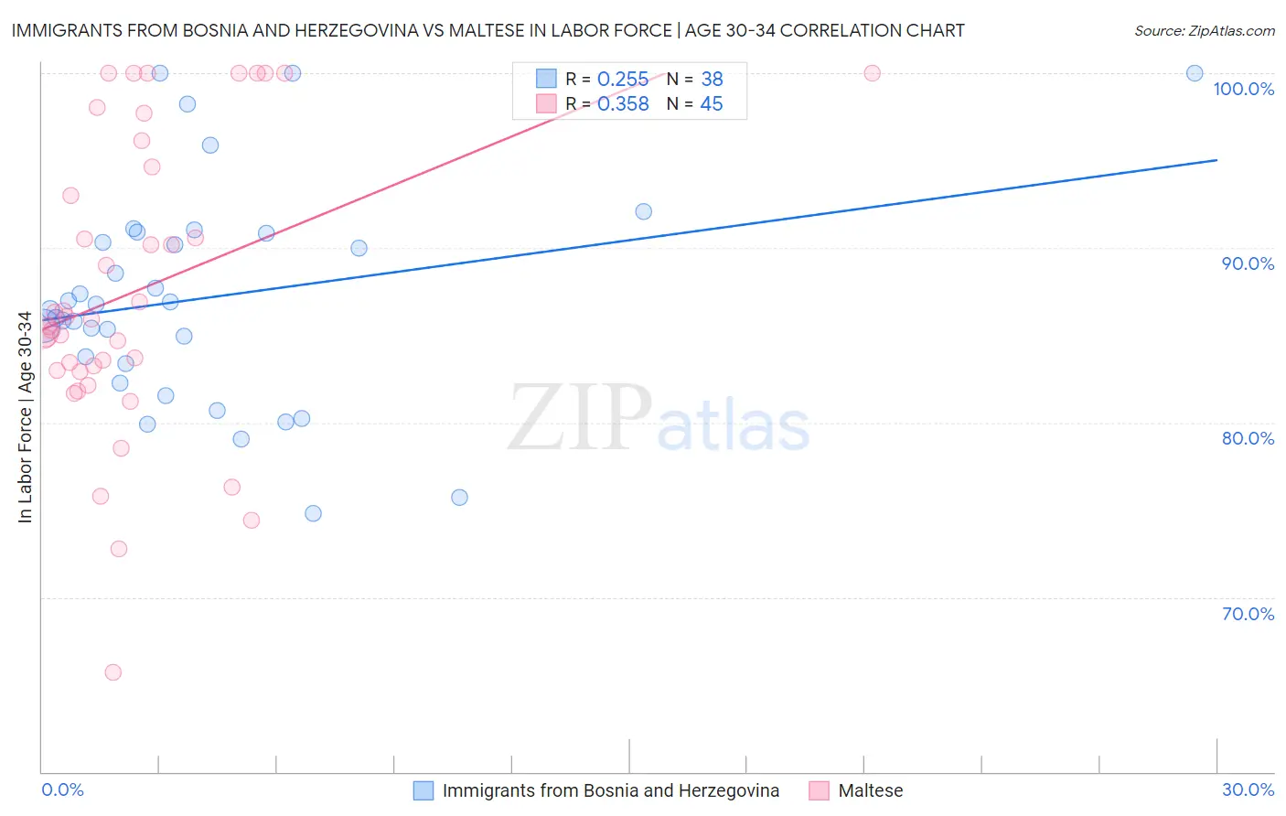 Immigrants from Bosnia and Herzegovina vs Maltese In Labor Force | Age 30-34