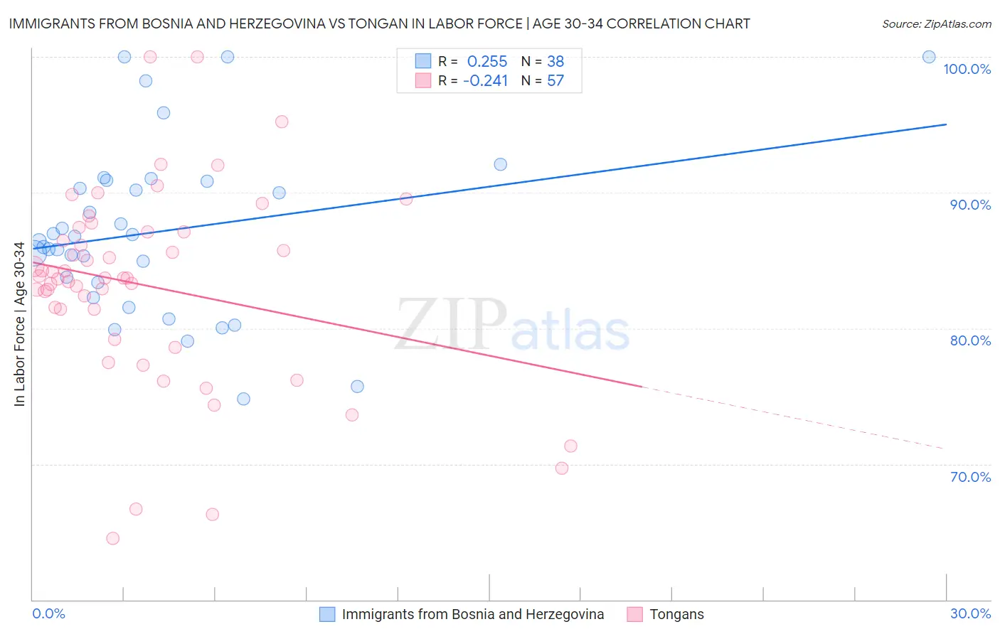 Immigrants from Bosnia and Herzegovina vs Tongan In Labor Force | Age 30-34