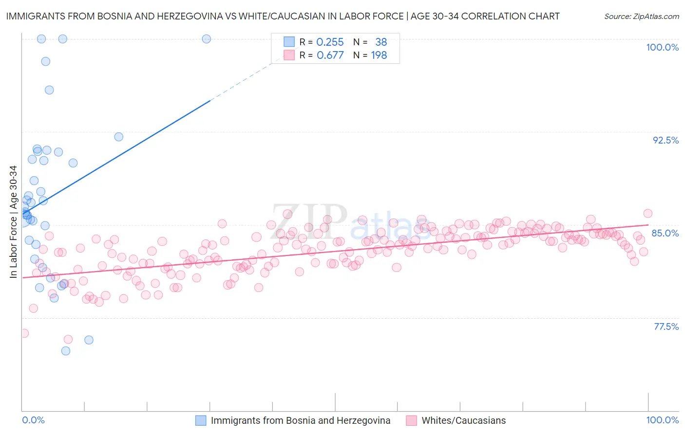 Immigrants from Bosnia and Herzegovina vs White/Caucasian In Labor Force | Age 30-34