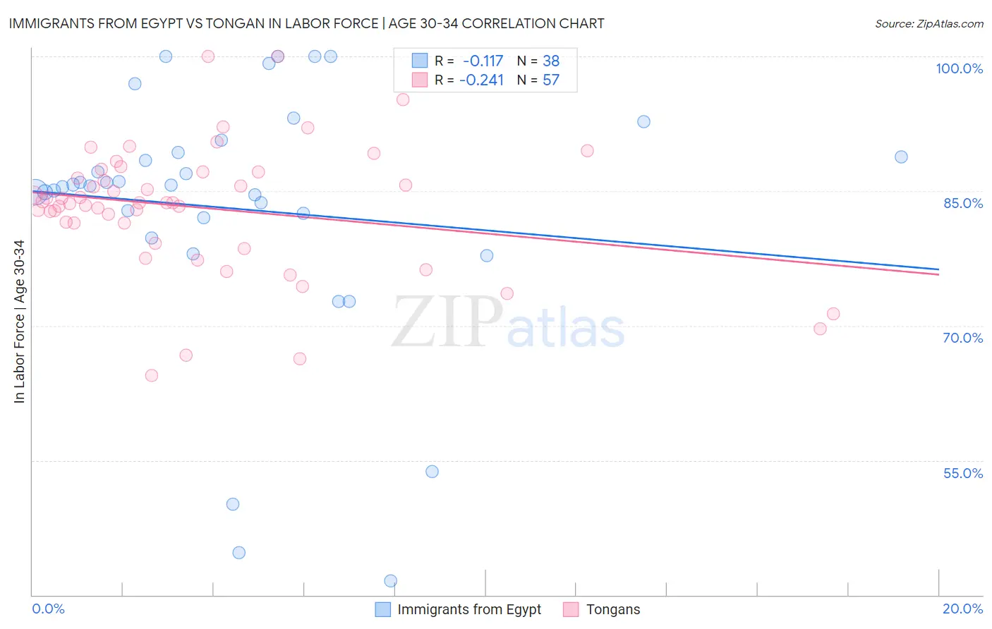 Immigrants from Egypt vs Tongan In Labor Force | Age 30-34