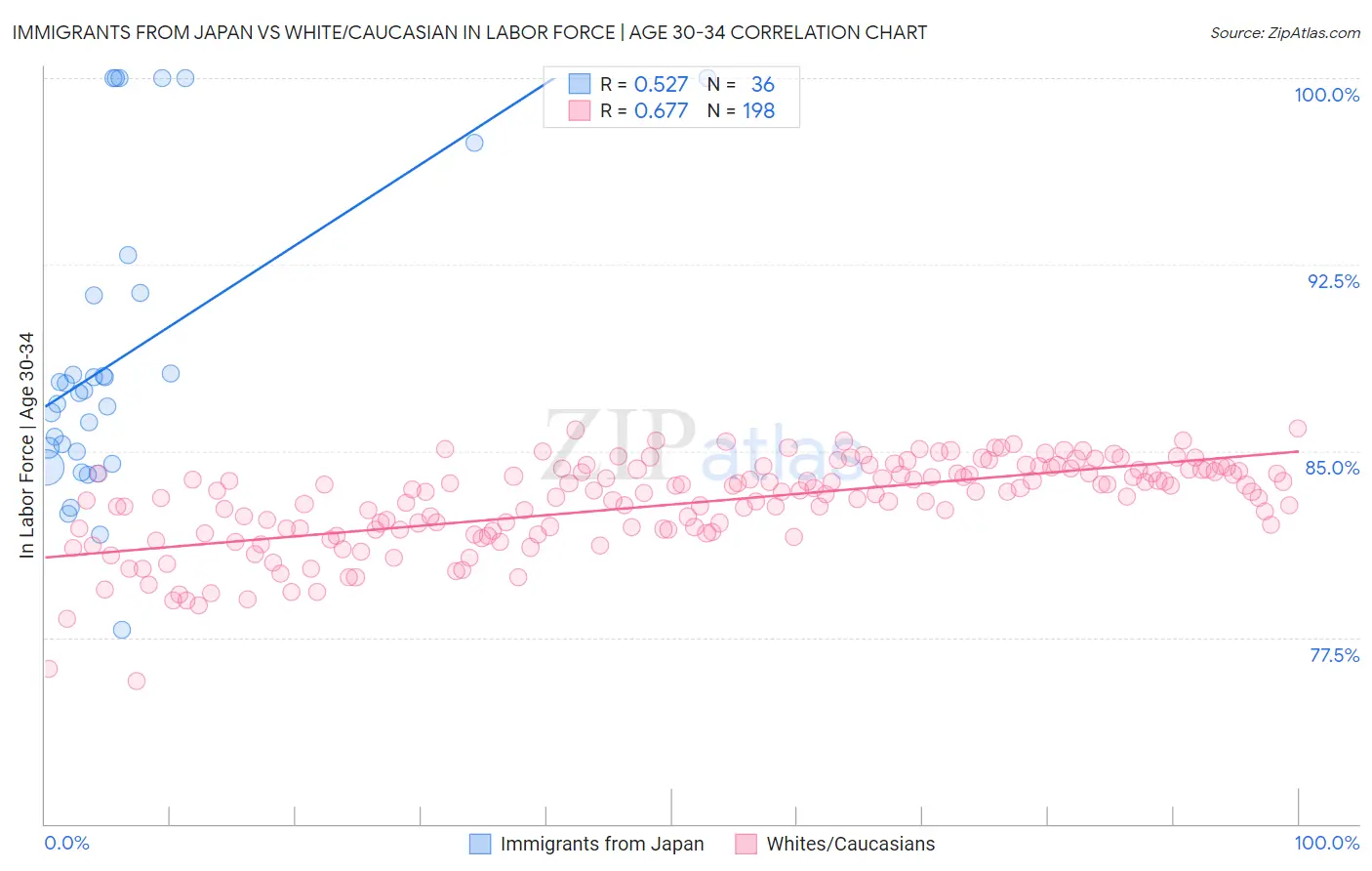 Immigrants from Japan vs White/Caucasian In Labor Force | Age 30-34