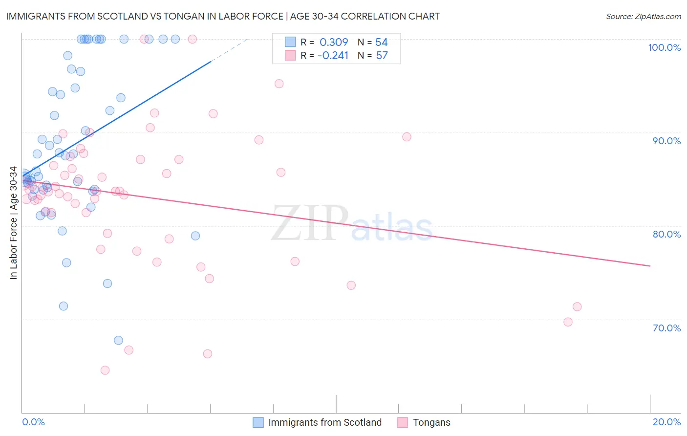 Immigrants from Scotland vs Tongan In Labor Force | Age 30-34