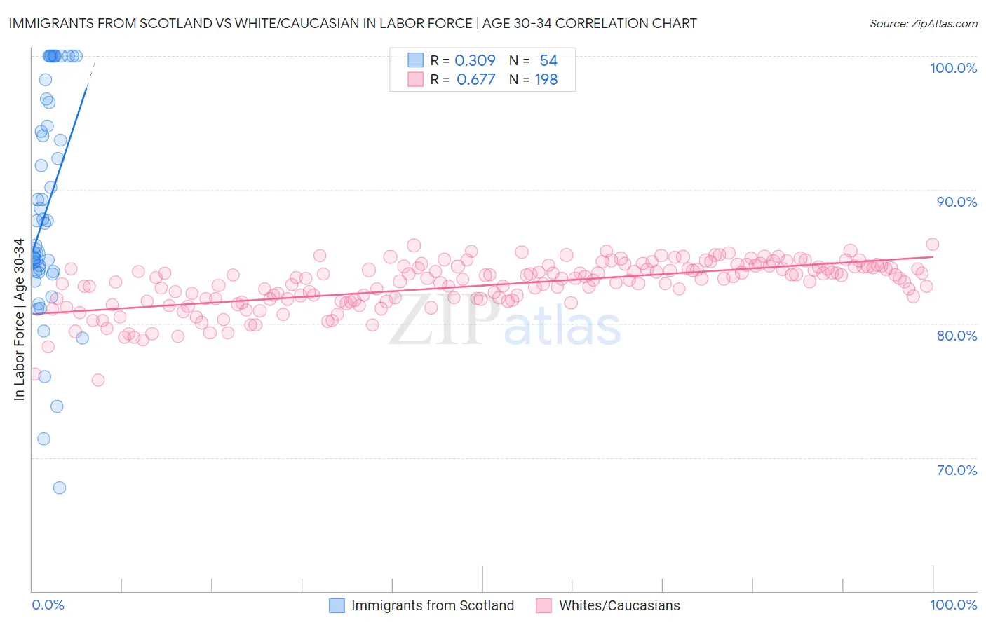 Immigrants from Scotland vs White/Caucasian In Labor Force | Age 30-34