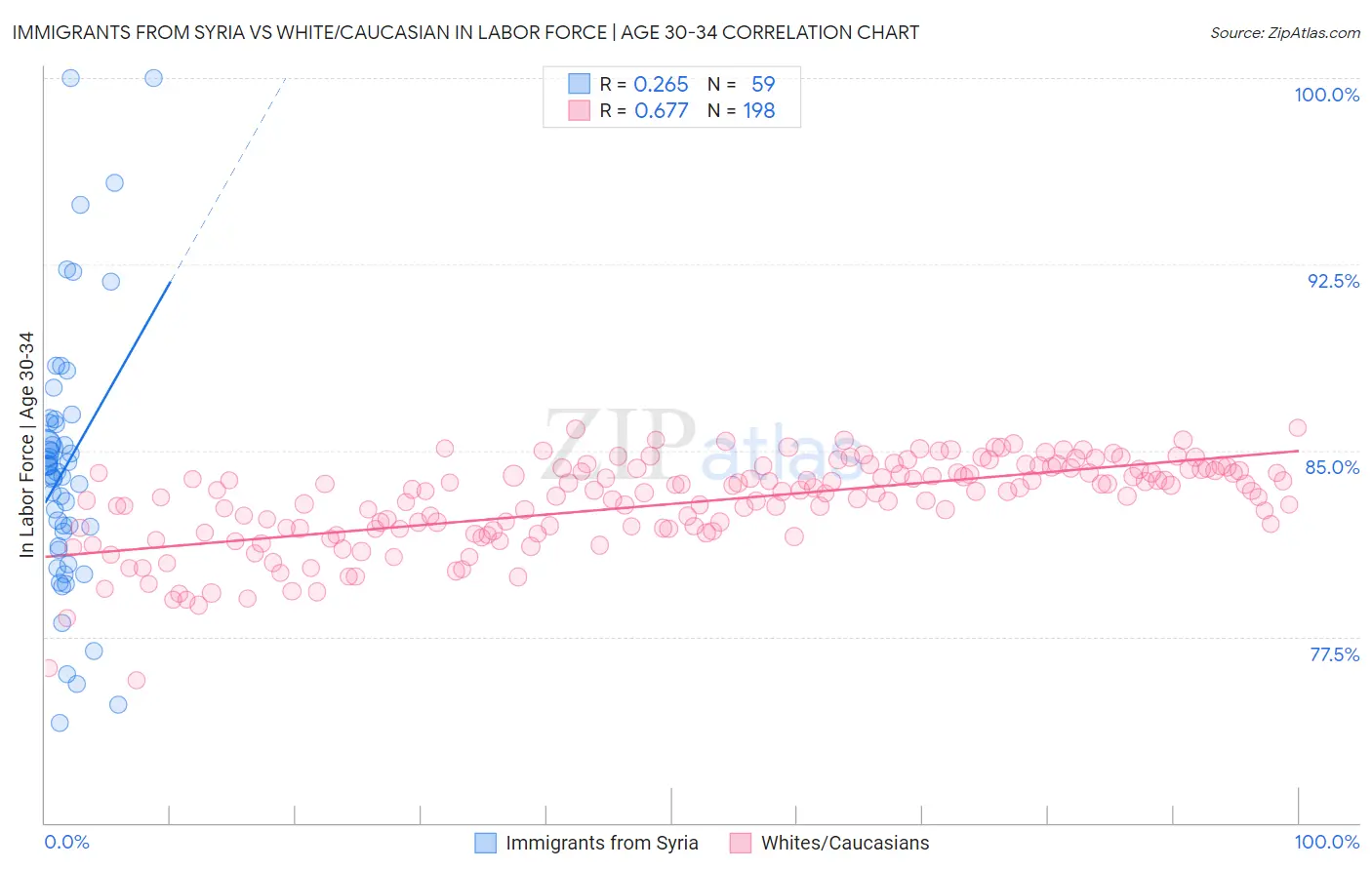 Immigrants from Syria vs White/Caucasian In Labor Force | Age 30-34