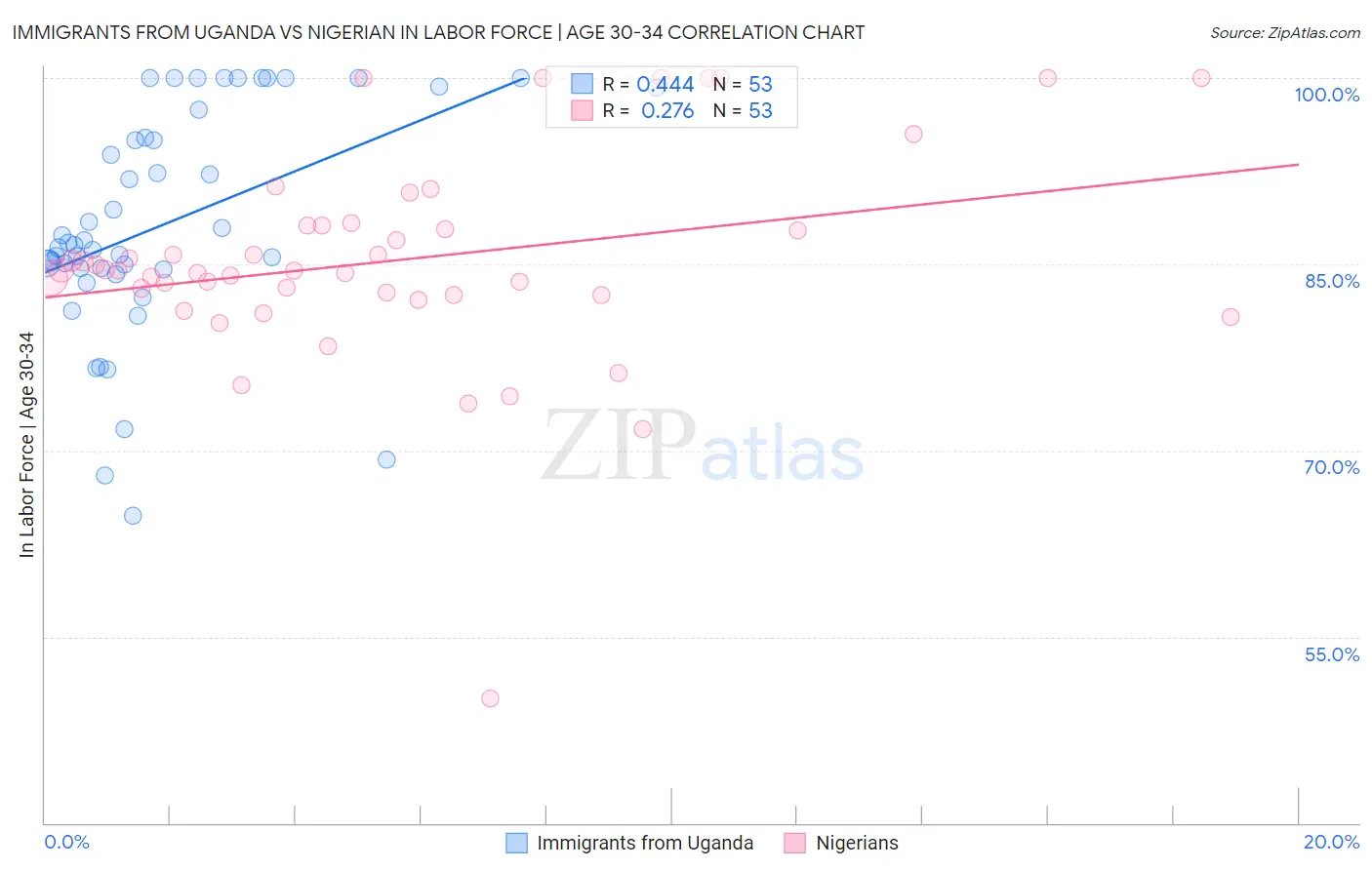 Immigrants from Uganda vs Nigerian In Labor Force | Age 30-34