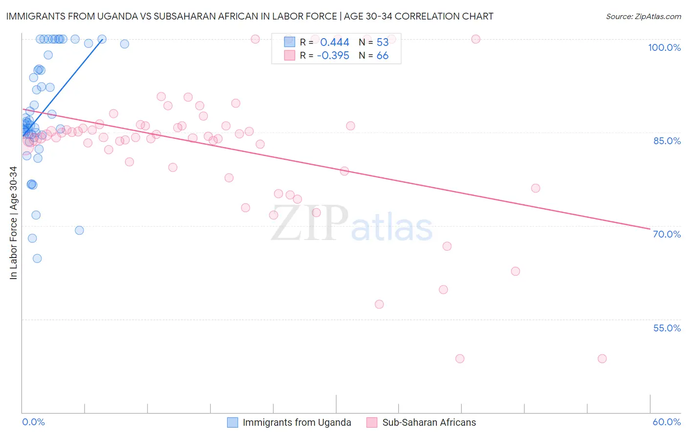 Immigrants from Uganda vs Subsaharan African In Labor Force | Age 30-34