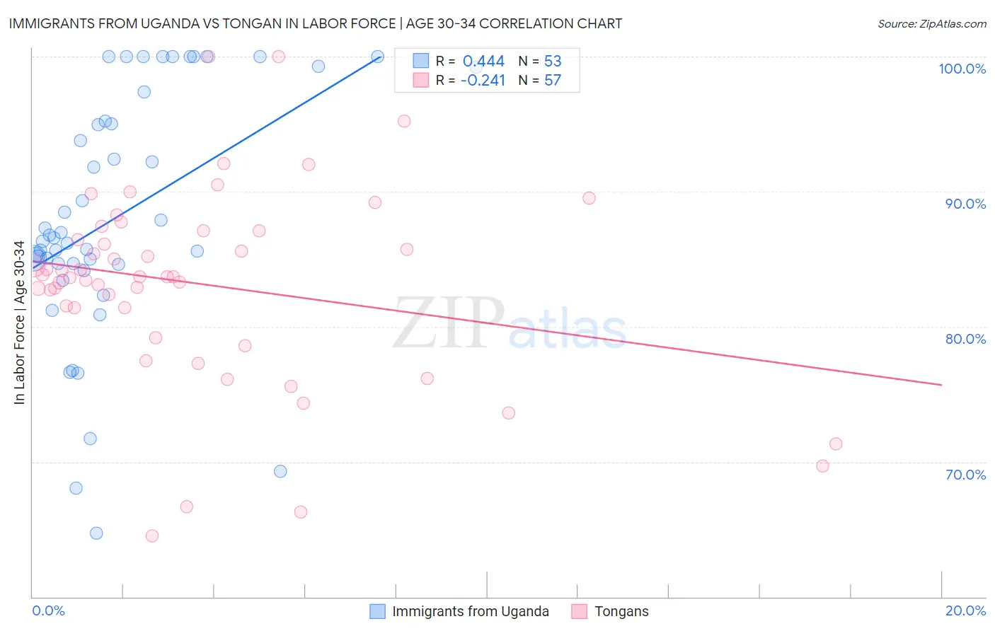 Immigrants from Uganda vs Tongan In Labor Force | Age 30-34