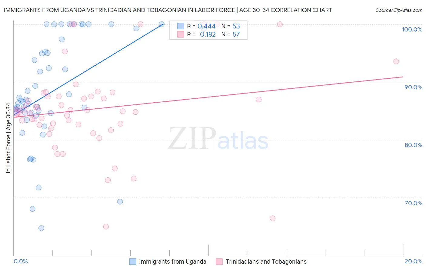 Immigrants from Uganda vs Trinidadian and Tobagonian In Labor Force | Age 30-34