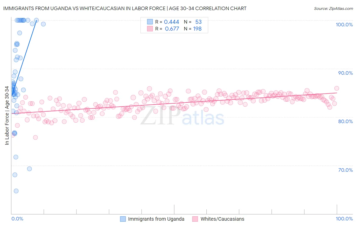 Immigrants from Uganda vs White/Caucasian In Labor Force | Age 30-34
