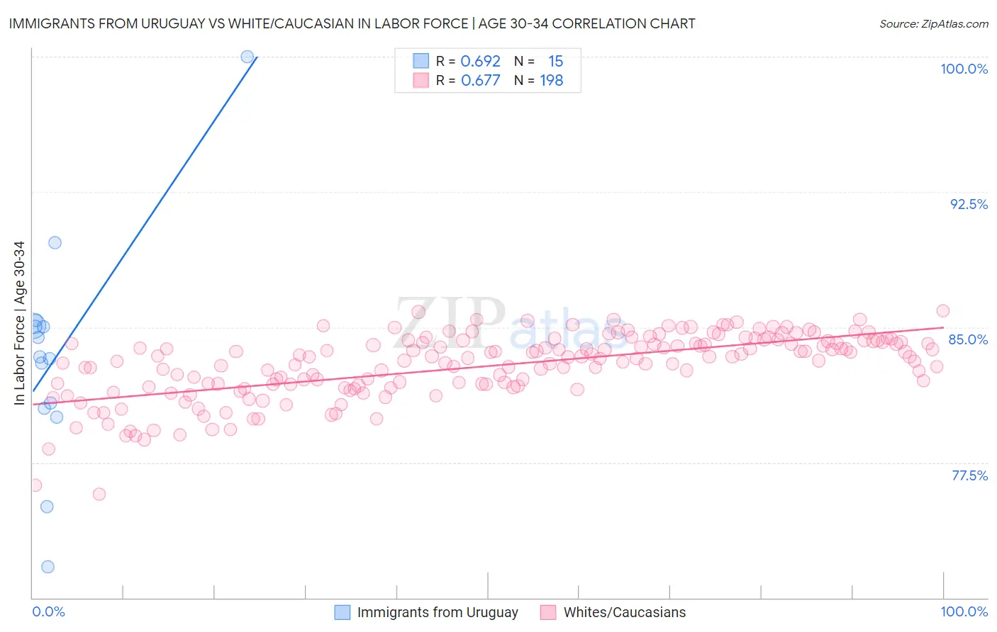 Immigrants from Uruguay vs White/Caucasian In Labor Force | Age 30-34