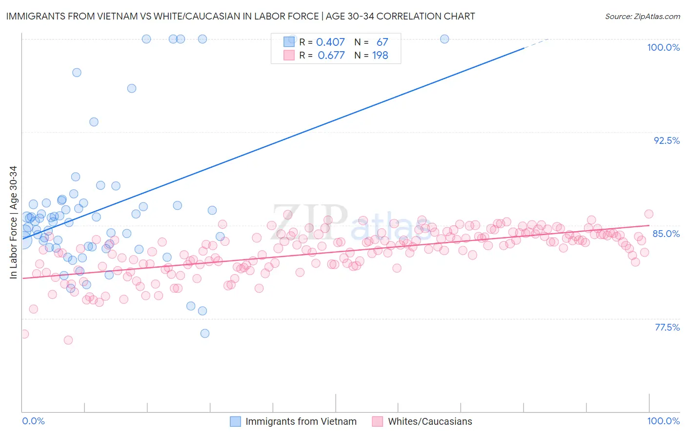Immigrants from Vietnam vs White/Caucasian In Labor Force | Age 30-34